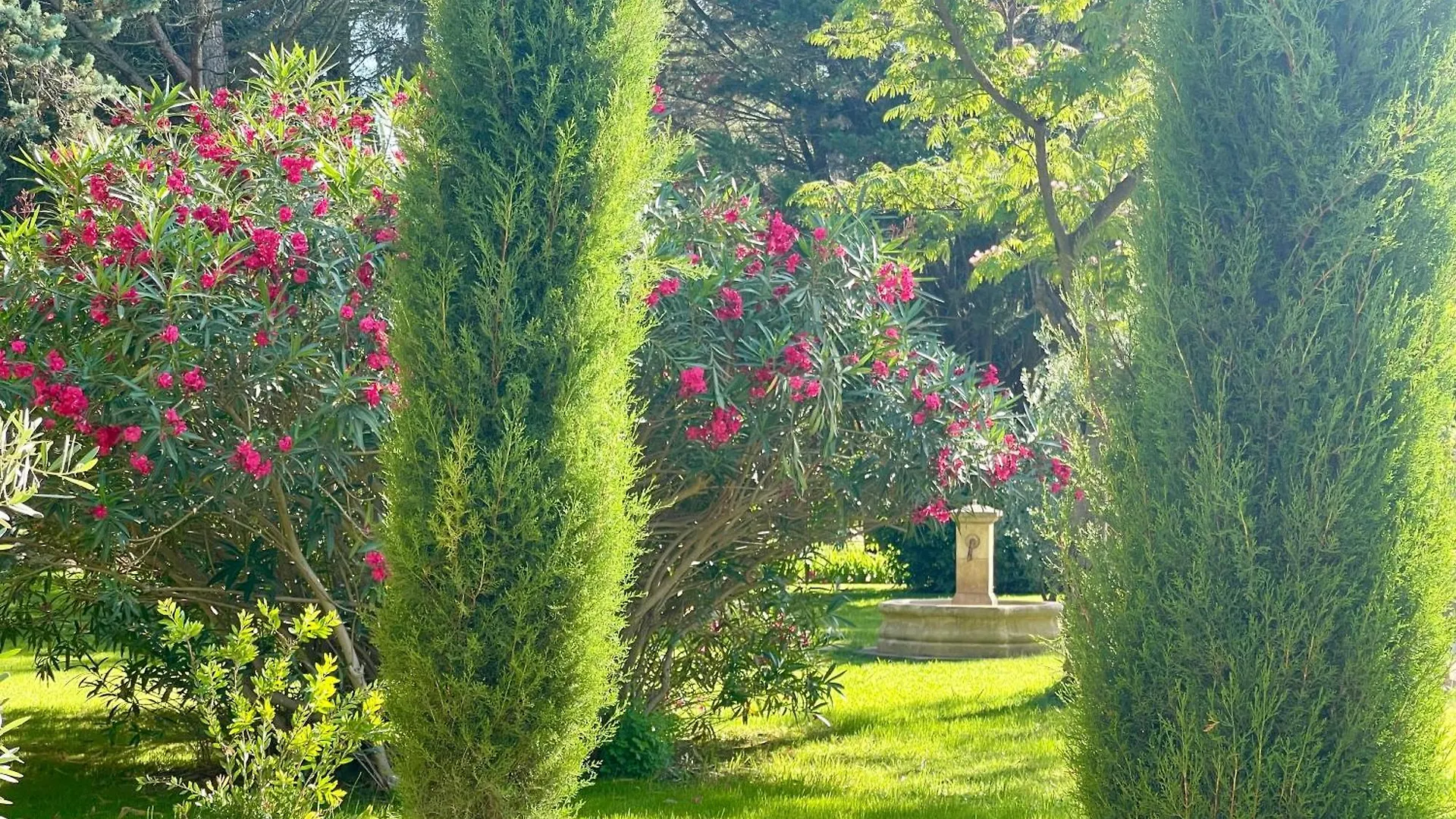 Domaine Au Coeur Des Alpilles Bed and Breakfast Maussane les Alpilles Bed & Breakfast