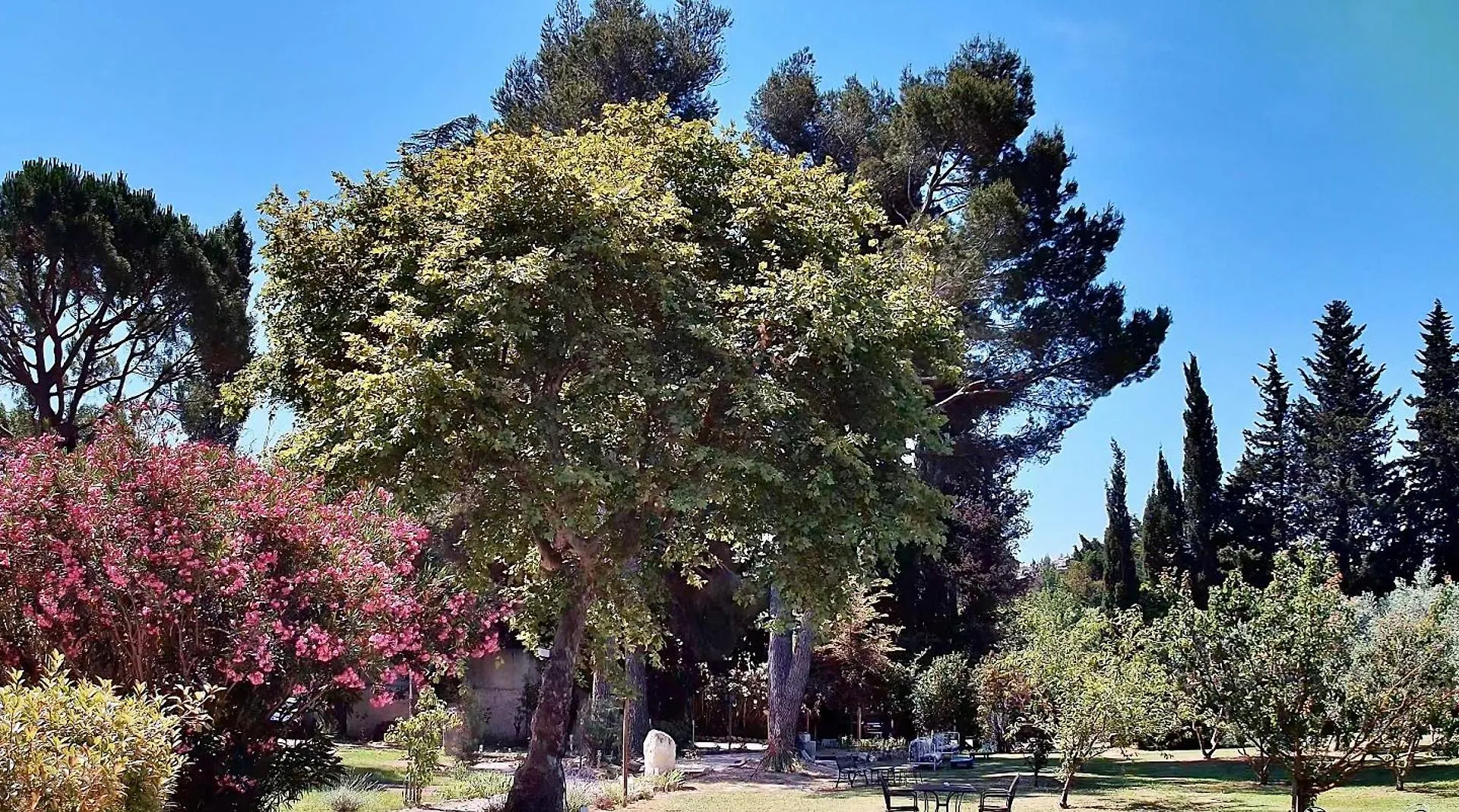 Domaine Au Coeur Des Alpilles Bed and Breakfast Maussane les Alpilles 0*,  Frankrijk